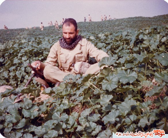 زندگینامه شهید عباس حیدری به مناسبت سالروز تولدش / کلیپ