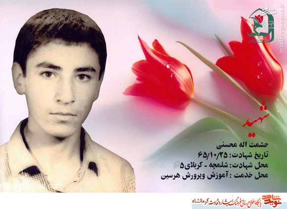 برادرانی که در یک روز به شهادت رسیدند برادرانی که در یک روز به شهادت رسیدند