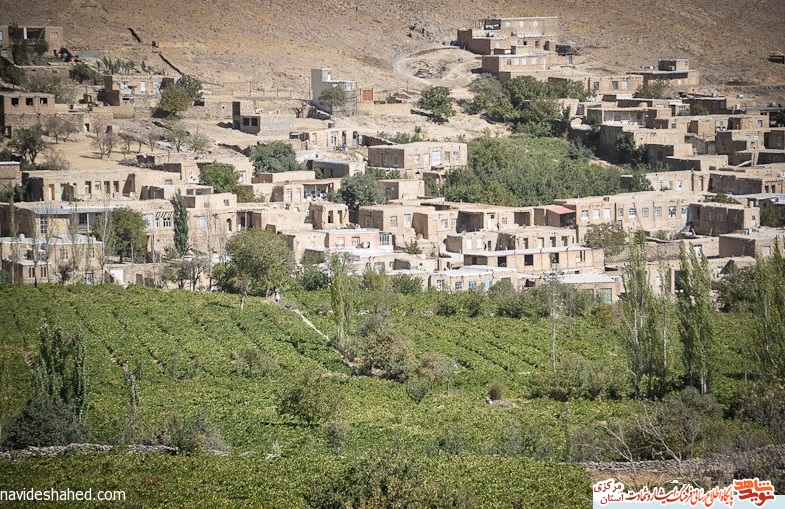 معرفی نه شهید روستای هزاوه