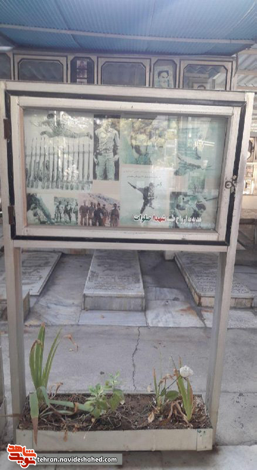 کجایند مردان بی ادعا!