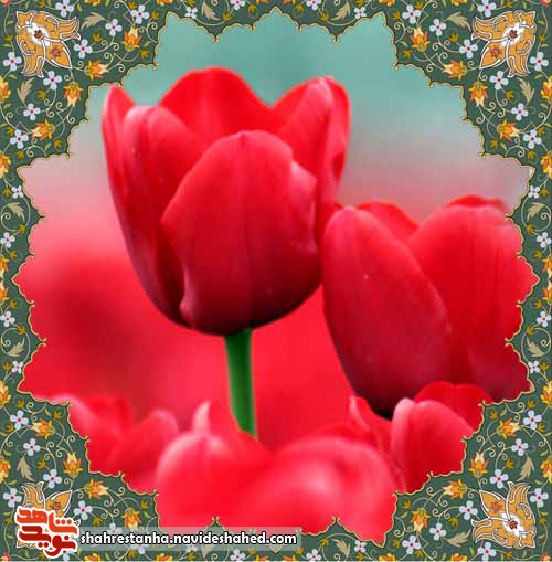 وصیت وصیت