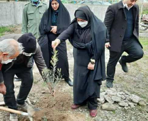 غرس نهال به یاد شهدا در شهرستان کردکوی