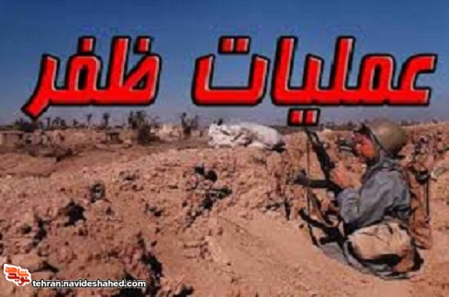تشریح تشریح