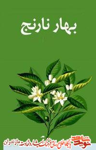 كتاب «شكوفه هاى درخت نارنج»؛ مجاهدتهای ماندگار همسران شهدا كتاب «شكوفه هاى درخت نارنج»؛ مجاهدتهای ماندگار همسران شهدا