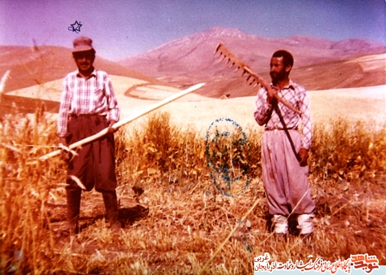 ترور روحانی در ماه رمضان به روایت تصویری ترور روحانی در ماه رمضان به روایت تصویری