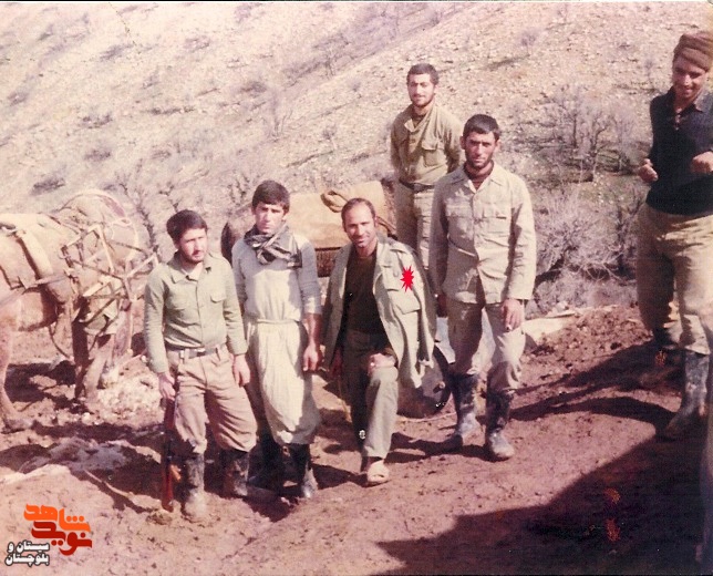 آلبوم تصاویر شهید«رضا زینلی قاسمی»منتشر شد