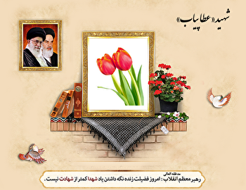 شهیدی از دیار نوریاب که پیش از انقلاب جان بر سر مبارزه نهاد