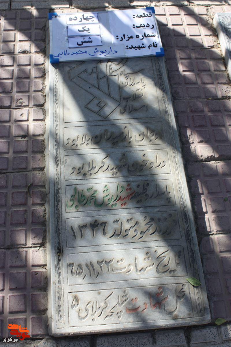 فرزندی از آسمان، مادری از صبر