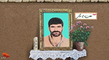 پرستوی سبک‌بال شلمچه