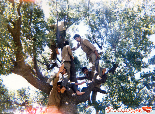 کردستان 1366 