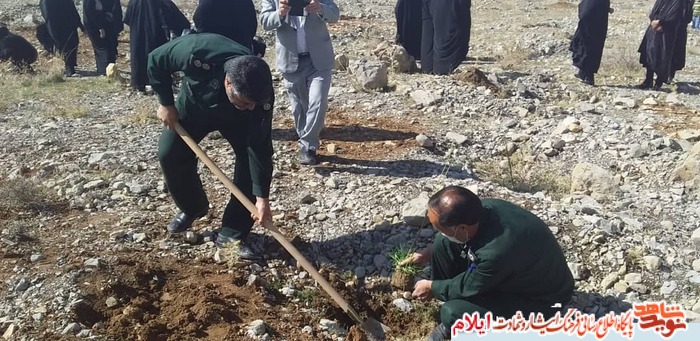 کاشت نهال به نام و ياد زنان شهیده و جانباز شهرستان ملکشاهی
