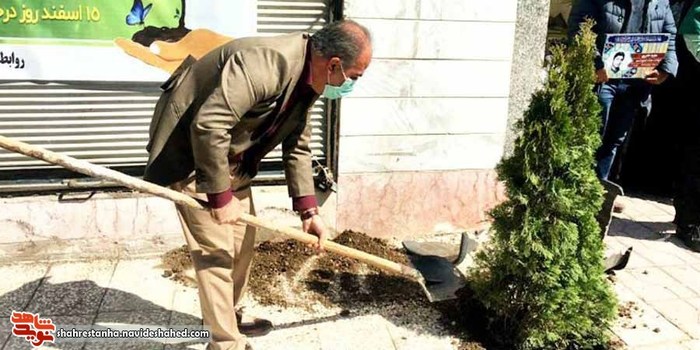 کاشت درخت در منزل شهید خدری
