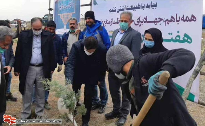 کاشت نهال به یاد 275 شهید شهرستان ملارد